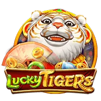 Microgaming Slot Provider