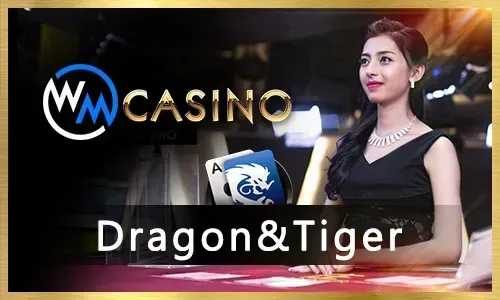 plus777 Live Poker
